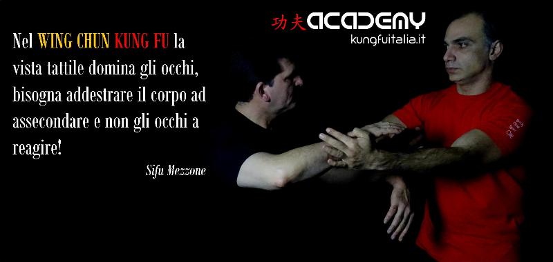 Kung Fu Academy Caserta di Sifu Salvatore Mezzone Accademia di Wing Chun e Tai Chi Quan (1)